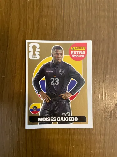 Caicedo Ouro/Dourado Extra Sticker