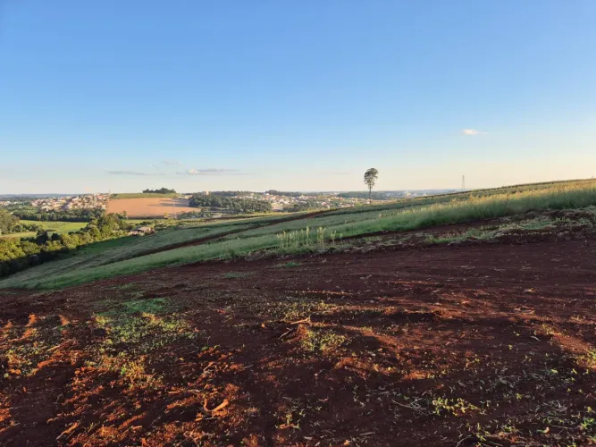 Vende-se área de terra em Chapecó 