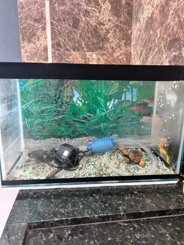 Aquário de 45 litros baratíssimo