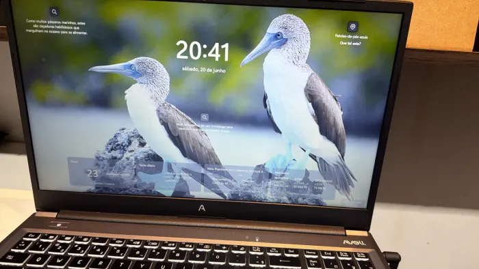 Notebook Avell B.ON Lite New i5 à venda