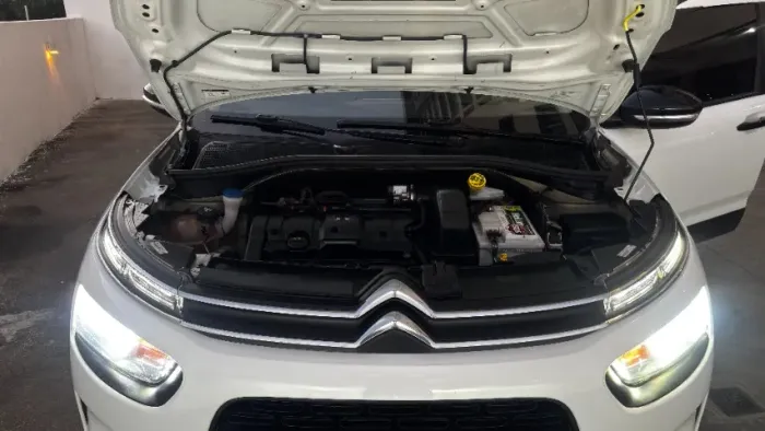 Citroen C4 Cactus Feel 1.6 16V Flex Aut. 2019