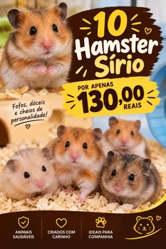 10 hamster sírio para revenda