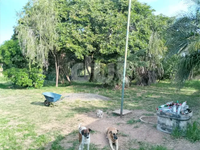terreno - Parque Universitário de Viracopos - Campinas