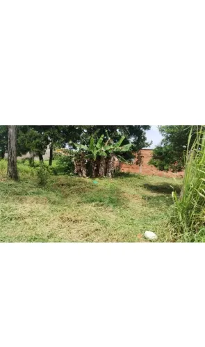 Terreno praia Ilha Comprida 
