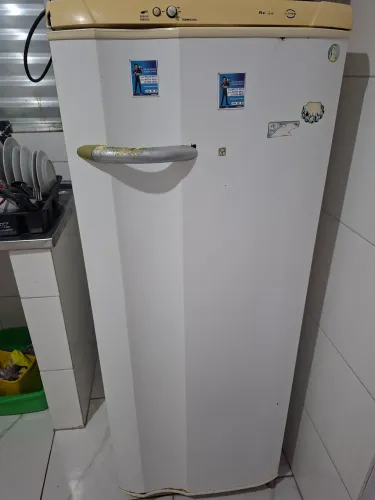 Geladeira 110v