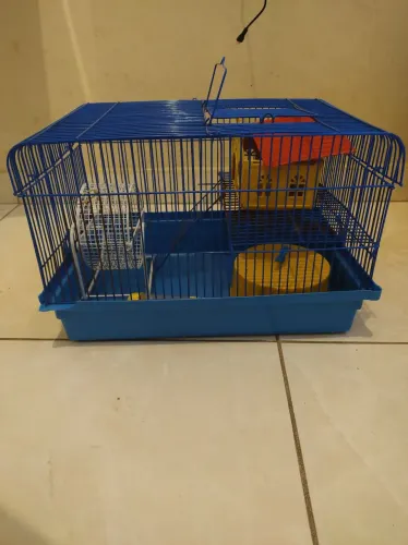 Desapegando gaiola para rammster 