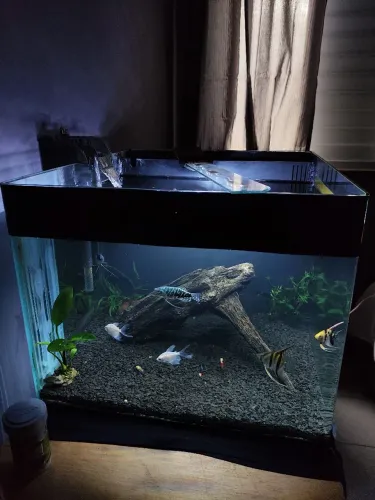 Aquário curvo + sump traseiro 