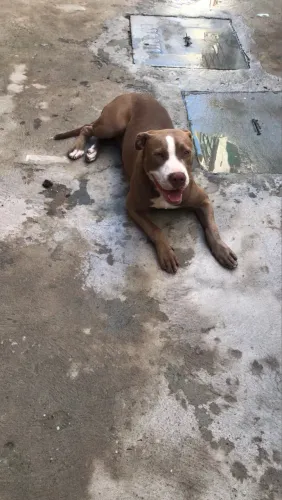Doação 
