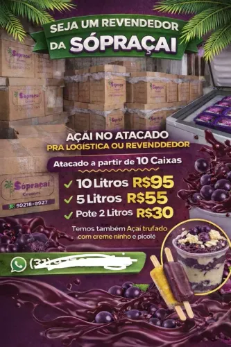 Acai atacado 