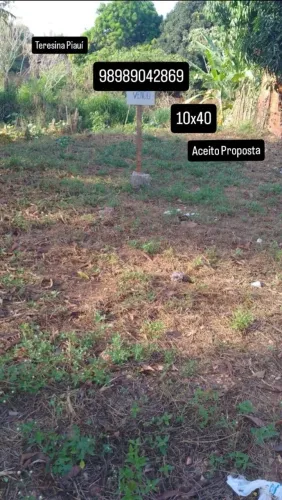 Terreno 10x40 rua xilema Zona sul de Teresina 000