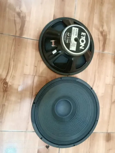 2 Alto-falante de 15 polegadas