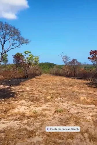 Lotes em ponta de pedras