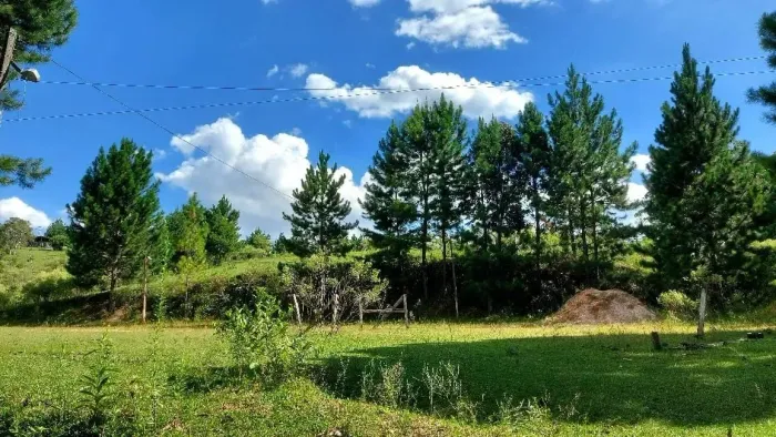 Campo Largo, Ferraria, chácara 51.425m², na rotatória EcoUmbrella, acesso asfalto, esquina