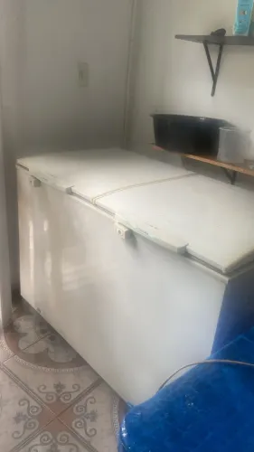 Freezer Electrolux 
