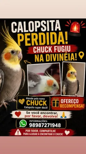 Ofereço recompensa!