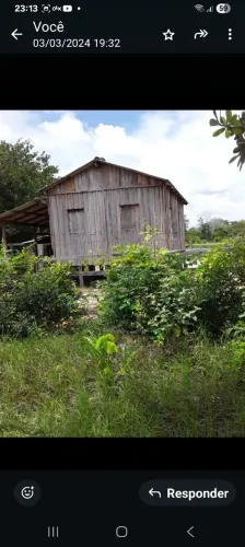 SÍTIO DE 50 HECTARES COM 2 IGARAPÉS.