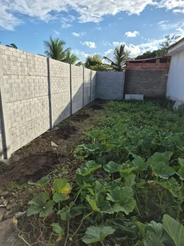 Muro de placas