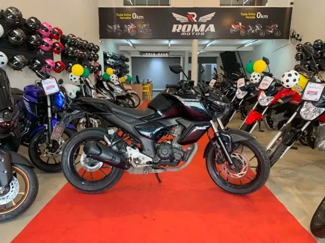 FZ 15