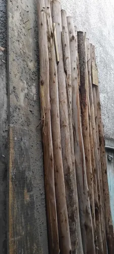 Pontaletes