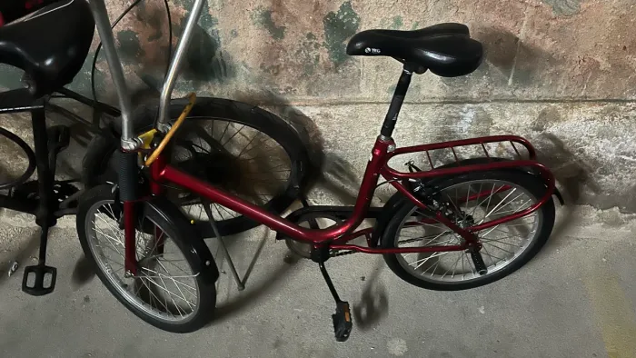 Bicicleta tipo monareta
