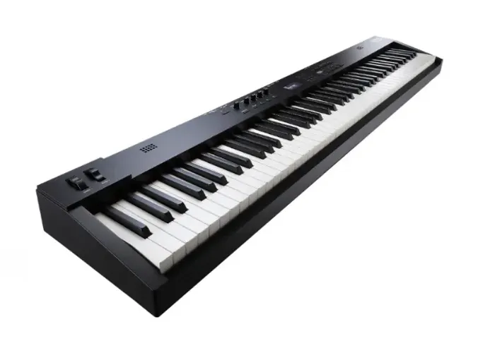  Piano Digital de Palco Roland RD-08 