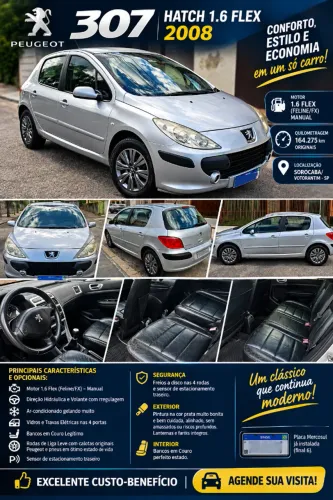 Peugeot 307 Soleil/ Presence 1.6/1.6 Flex 16V 5P 2008