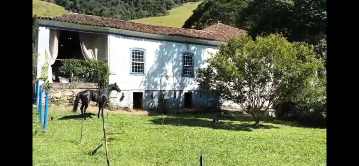 Cobertura Puro Sangue Inglês Registrado