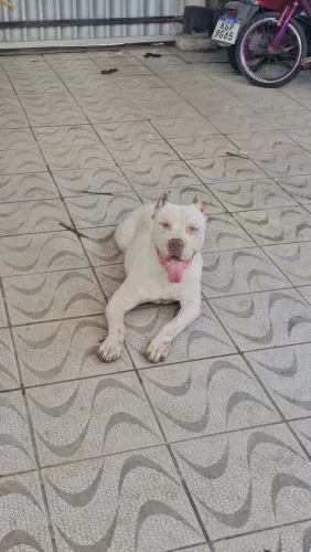 Doação de pitmonster