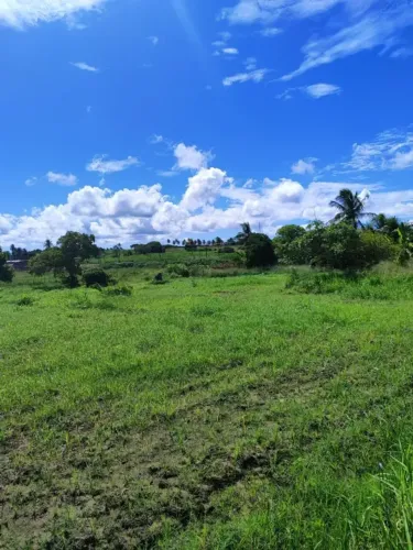 Excelente granja com 3.7 hectares na região de Monte Alegre as margens da RN