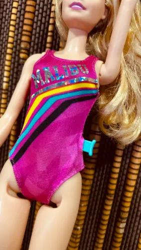 Barbie Dreamhouse Adventures nadadora