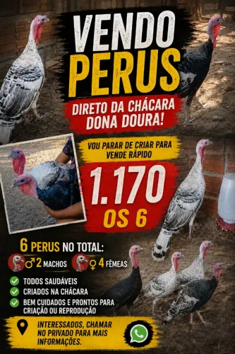 Peru 