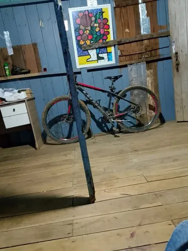 Bicicleta lótus aro 29