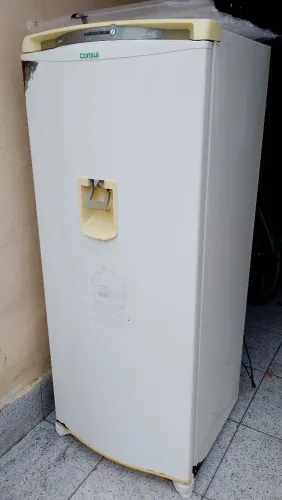 Consul Frosfree 110v 300$