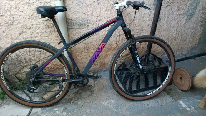 Bike aro 29 rava coroa 38 dentes suspensão absoluta freio hidráulico