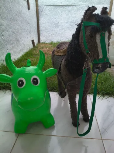 Burrinho de brinquedo 