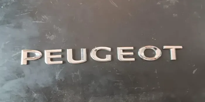 Emblema Peugeot Da Expert