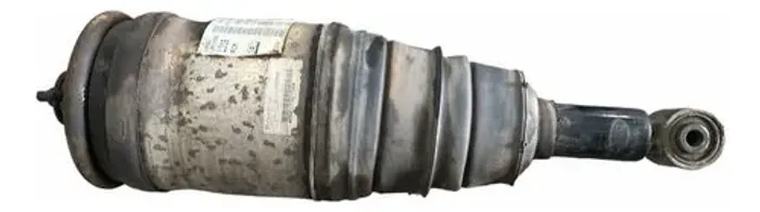 Bolsa De Ar Suspensão Traseira Discovery 4 2010-2014 Origin
