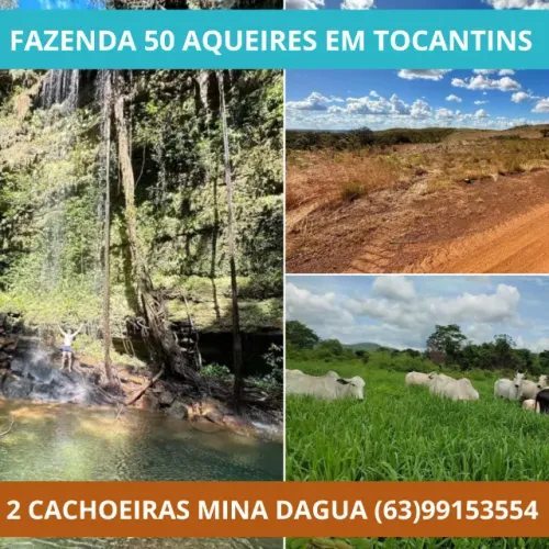 Fazenda, Terra, Lavoura, Platanção, Soja, Cana, Canavial, Cercada, Chacara, Chácara, Roça 