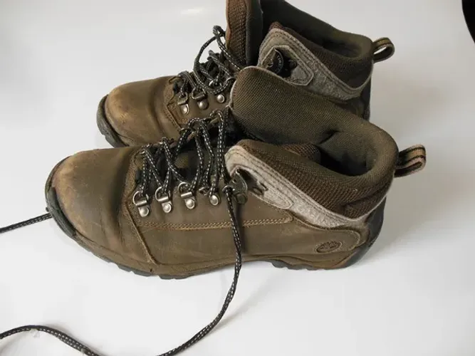Bota Timberland n. 38