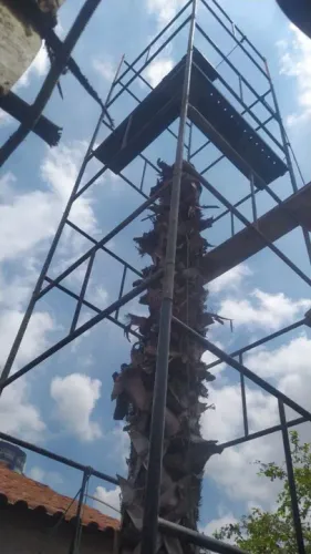 Poda e corte de árvores em geral