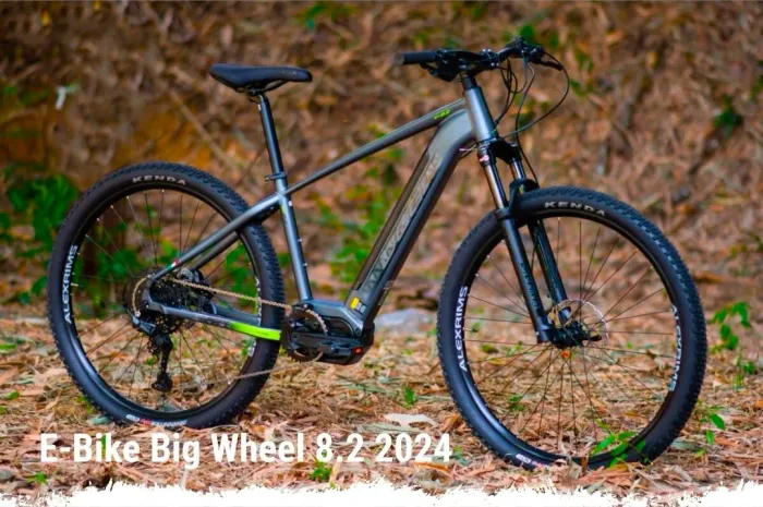 E-Bike Big Wheel 8.2 2024