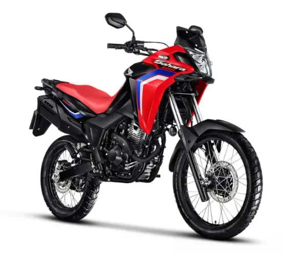 Moto Honda XRE 300 Sahara Rally 26/26