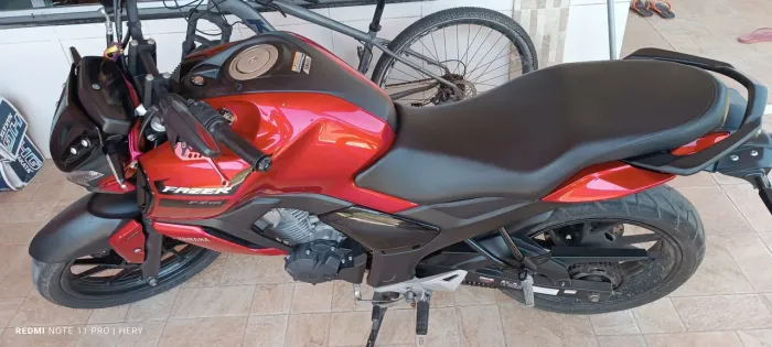Fz15