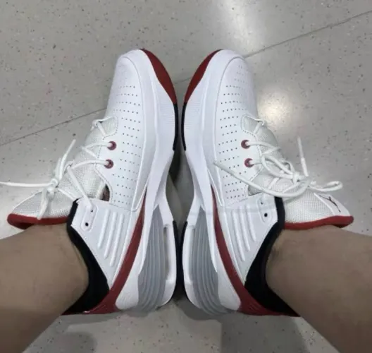 Nike Jordan Max Aura 5