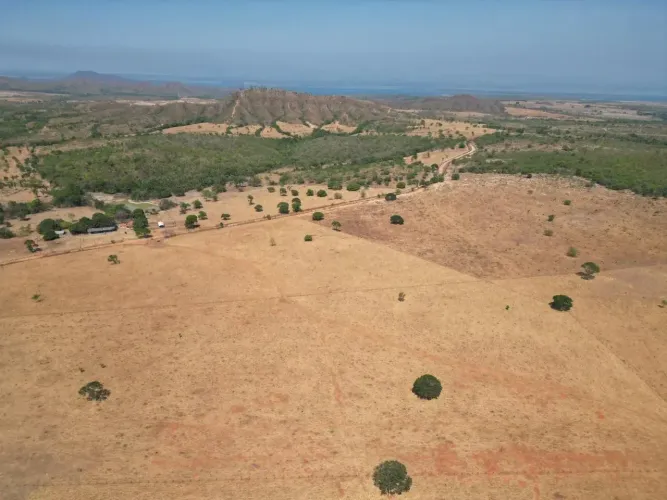 Fazenda 137 alqueires Niquelandia GO