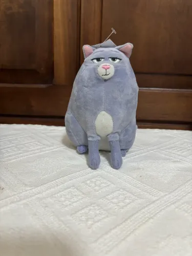gato pets 