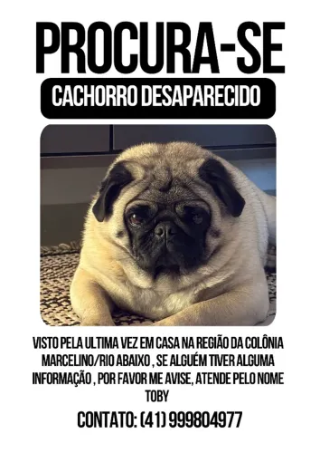 Pug