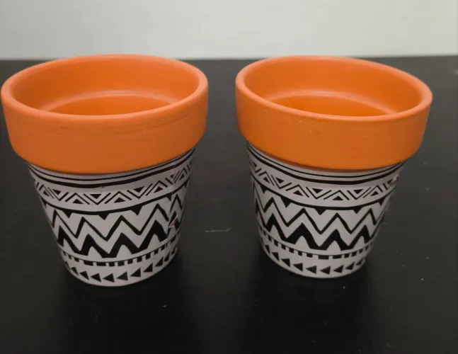 Vasos para decoração e Plantas