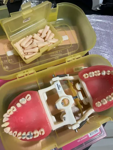 Manequim odontológico 