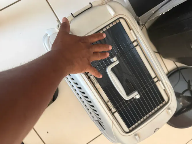 Caixa de transporte pet 